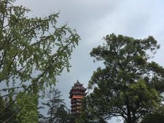-塔子山公园