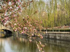 -海棠花溪(元大都城垣遗址公园)