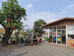 -长洲岛都市农业公园