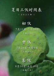 -名发世家烫染