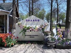-上海鲜花港