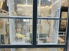 -深圳鸟咖鹦花岛
