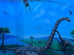 -辽宁古生物博物馆