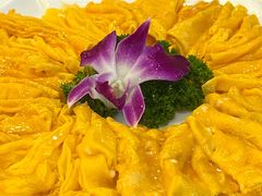 黄埔炒蛋-姚林轩