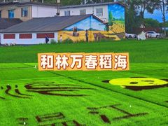 -老鼎万春卤菜(五代传承创始老店)