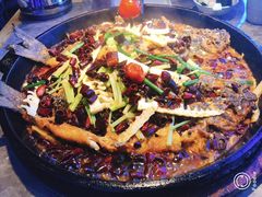 -老板恋上鱼(恒隆广场店)