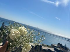 -大堂吧·下午茶·特调鸡尾酒(大连一方城堡豪华精选酒店)