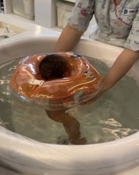 -重庆安琪儿妇产医院-妇幼保健联盟医院