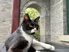 -赵尔巽公馆-旧址