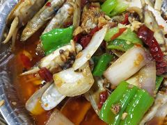 -大学城夜市大排档(凤栖路店)