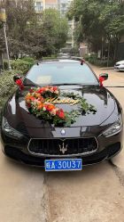 -蚂蚁婚车