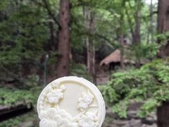 -国家植物园