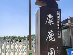 -日照海滨国家森林公园
