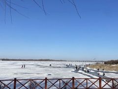 -丁香湖公园