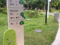 -福田红树林生态公园