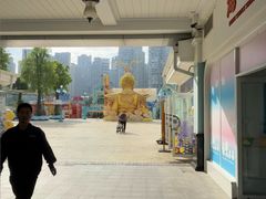 -海合安成都极地海洋公园