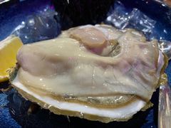-蚝堡海鲜·威海菜·海肠捞饭·烧烤·亚洲吃蚝公司(幸福门店)