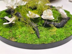 -同庆楼(金宝汇店)