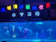 -泉城欧乐堡海洋极地世界