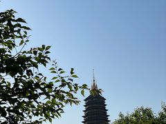 -红梅公园