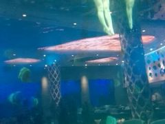 -瑞德姆美人鱼海底演艺主题餐厅(亚龙湾店)