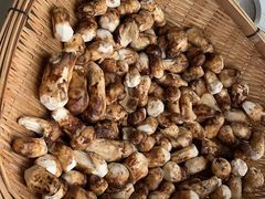 -蘑统田下·野生菌火锅