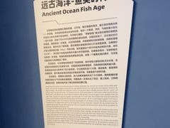 -重庆欢乐海底世界