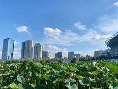 -奥佳游泳培训班(英东游泳馆店)