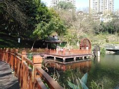-重庆彩云湖湿地公园