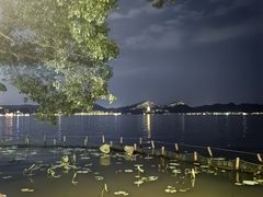 -湖畔居茶楼(湖滨店)