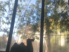 -芭东小镇温泉