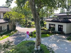 -杭州西湖柳莺里酒店·闻莺厅