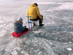-丁香湖公园