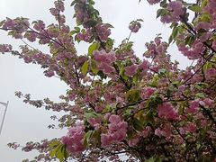 -万达广场(松江店)