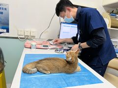 -达爱动物医院·犬猫分区·CT·复杂眼科(远洋山水分院)