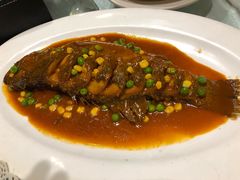 -楚灶王(徐东店)