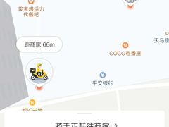 -油梨树 AVOCADO TREE(亮马桥店)