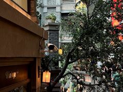 -阿大排档(长春这有山店)