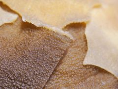 巴掌毛肚-花海牛火锅(泰合店)