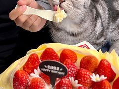 -幸福西饼生日蛋糕·下午茶(思明店)