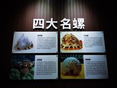 -贝壳王国博物馆