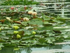 -国家植物园南园