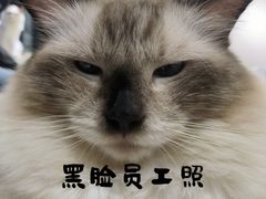 -怪兽屋·羊驼·猫咖·狗咖(俊华广场店)