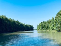 -上海海湾国家森林公园