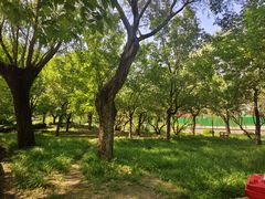 -元大都城垣遗址公园