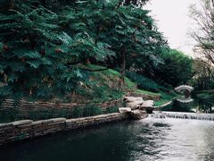 -北坞公园