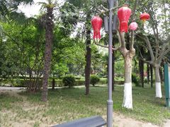 -渭滨公园