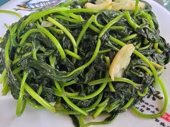 -洞背山庄(洞背院区式管理小区店)