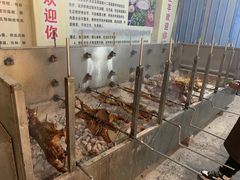 -巴山·烤全羊(高新总店)