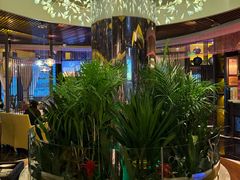 -润园四季椰子鸡火锅(海上世界店)